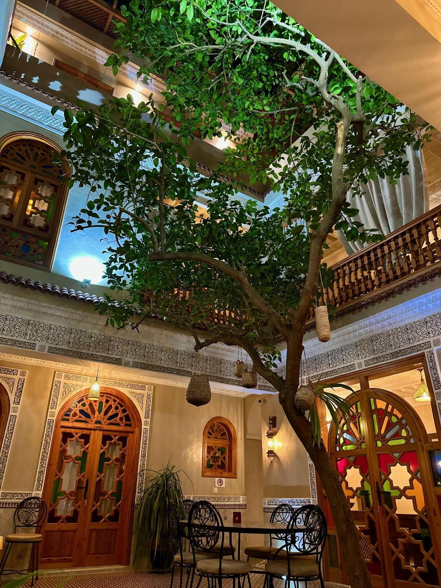 Riad Shajara Marrakesh Exterior foto